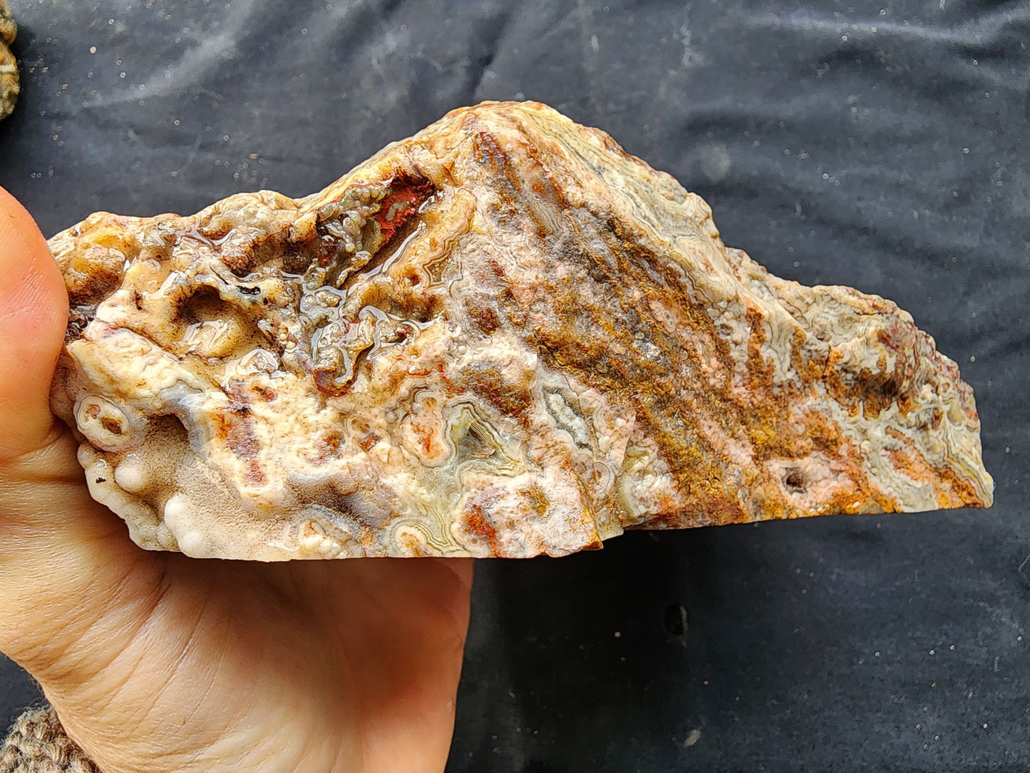 Plume Agate Decor - #tag1# - #tag2#