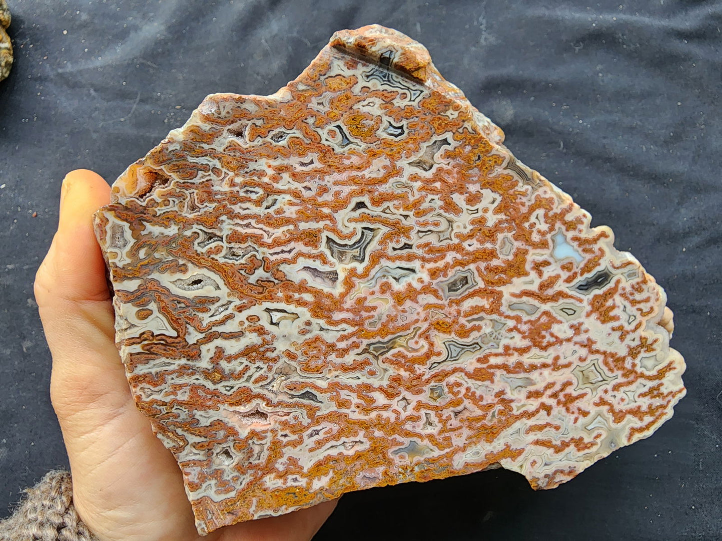 Plume Agate Decor - #tag1# - #tag2#