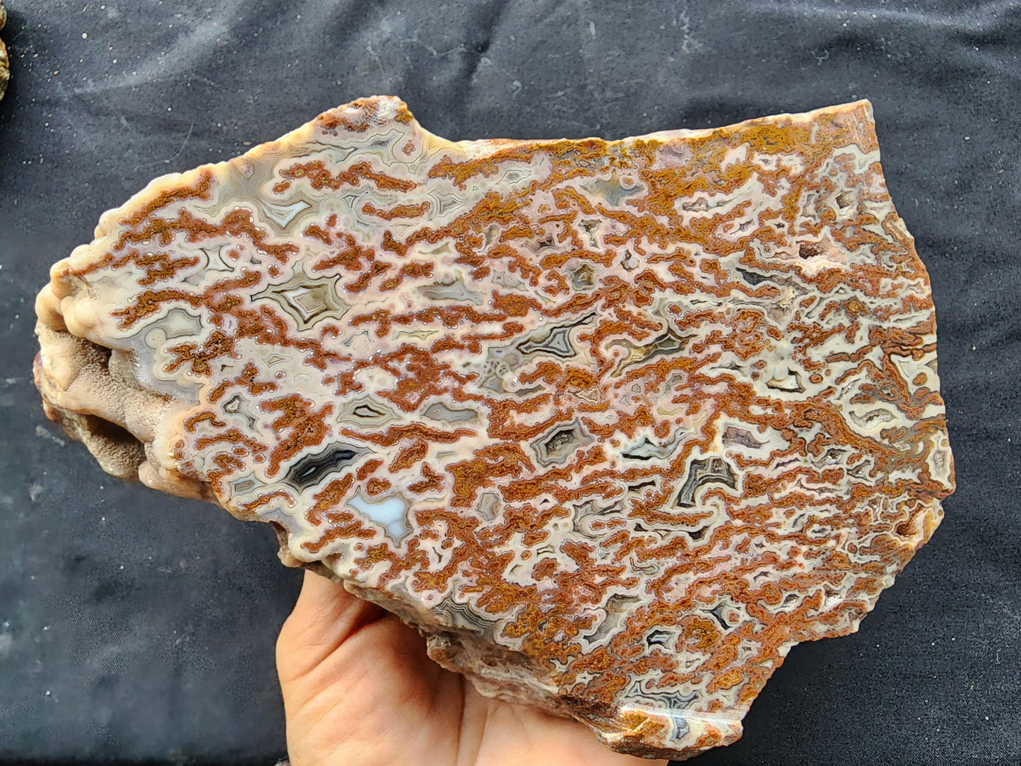 Plume Agate Decor - #tag1# - #tag2#