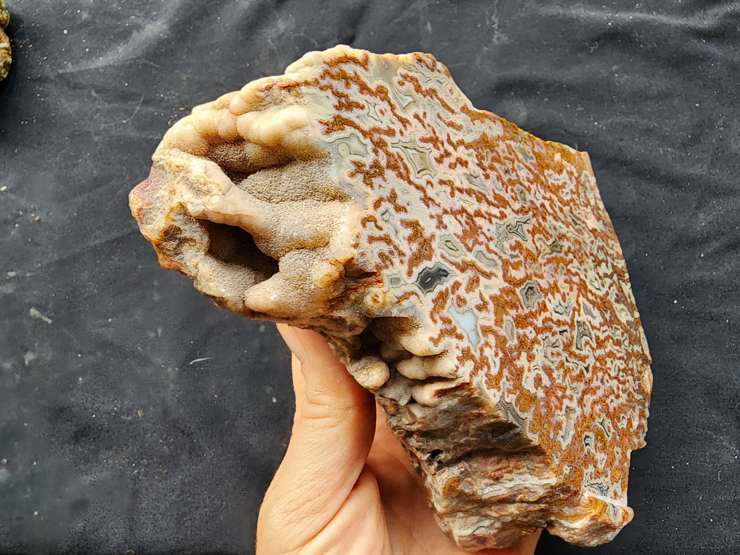 Plume Agate Decor - #tag1# - #tag2#