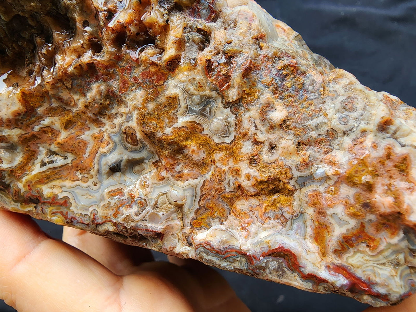 Plume Agate Decor - #tag1# - #tag2#