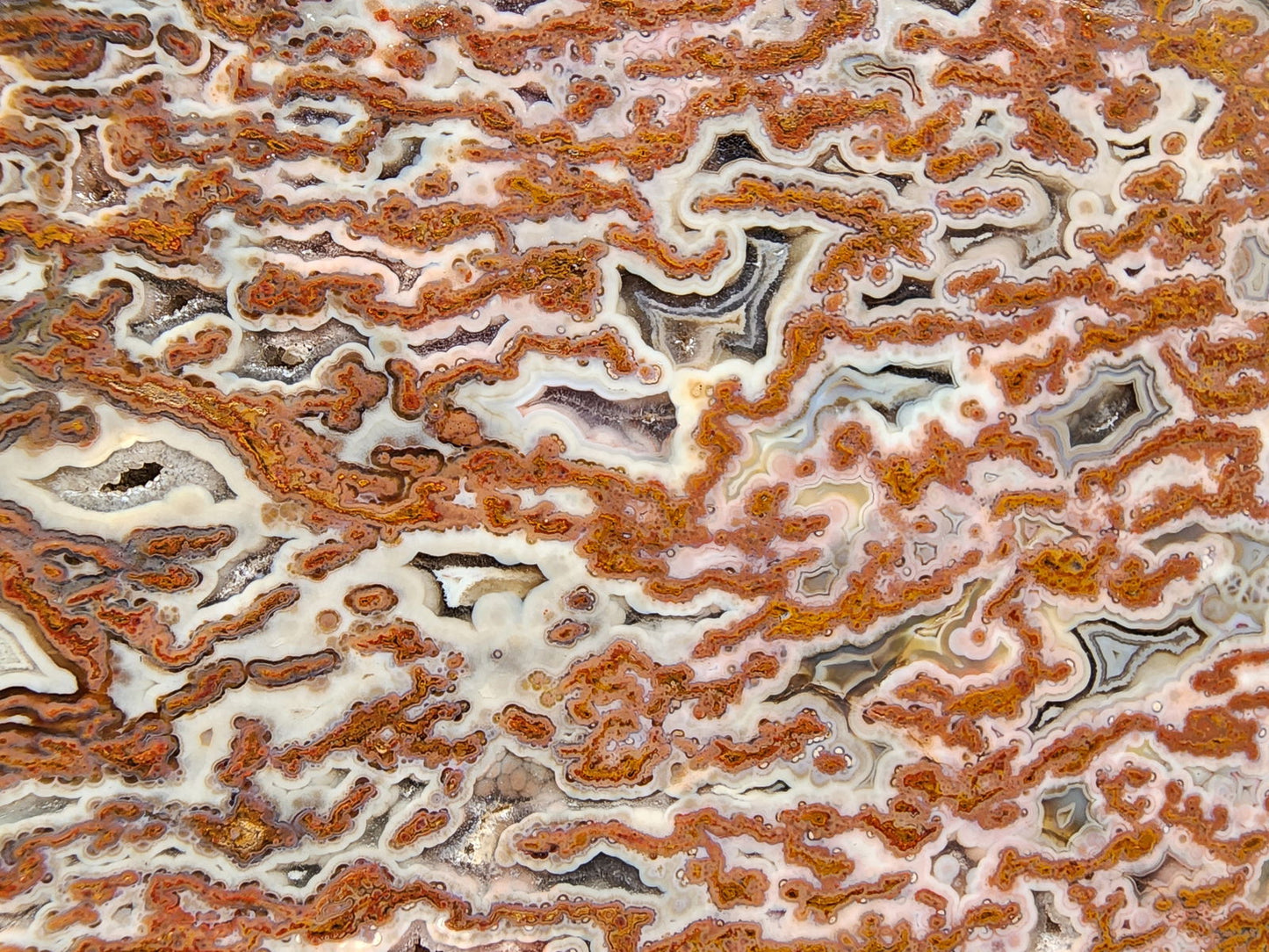 Plume Agate Decor - #tag1# - #tag2# - #tag3# - #tag4#