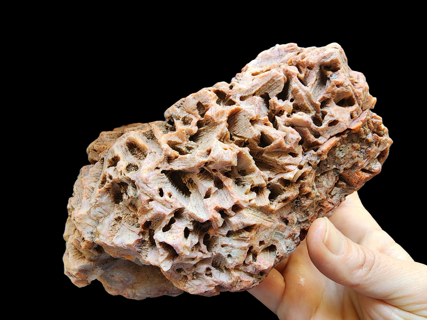 Large Decorative Rock