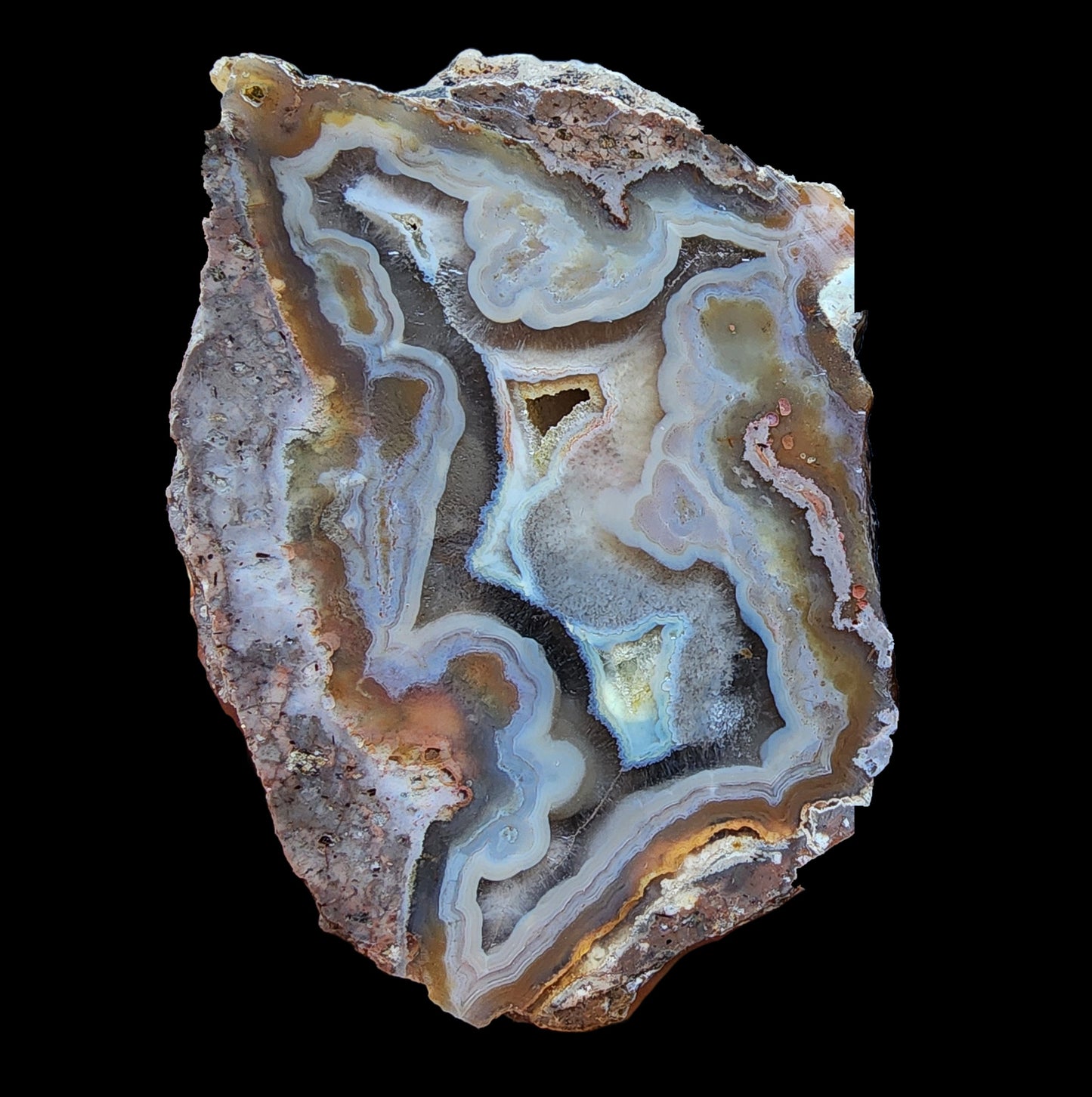 Picasso Portrait - Thunderegg
