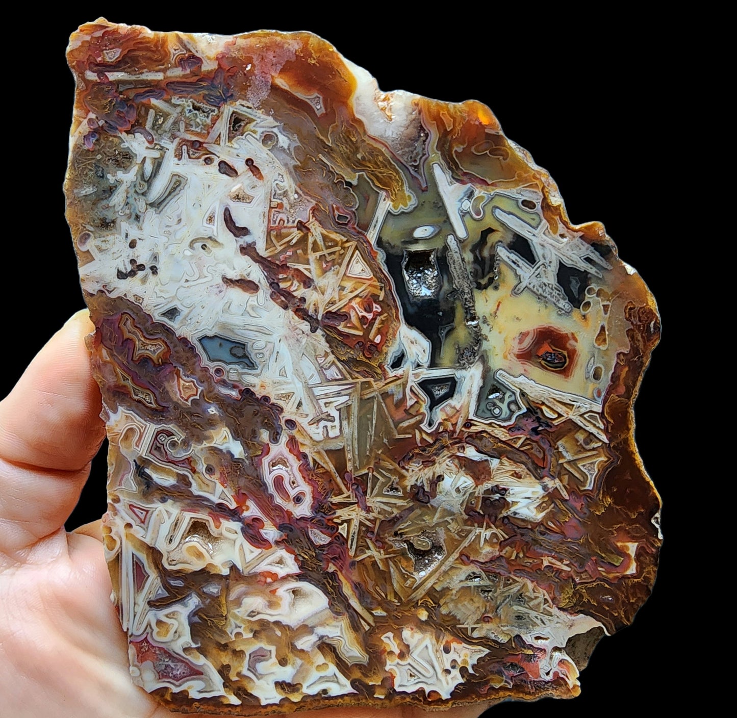 Abstract Agate Slice