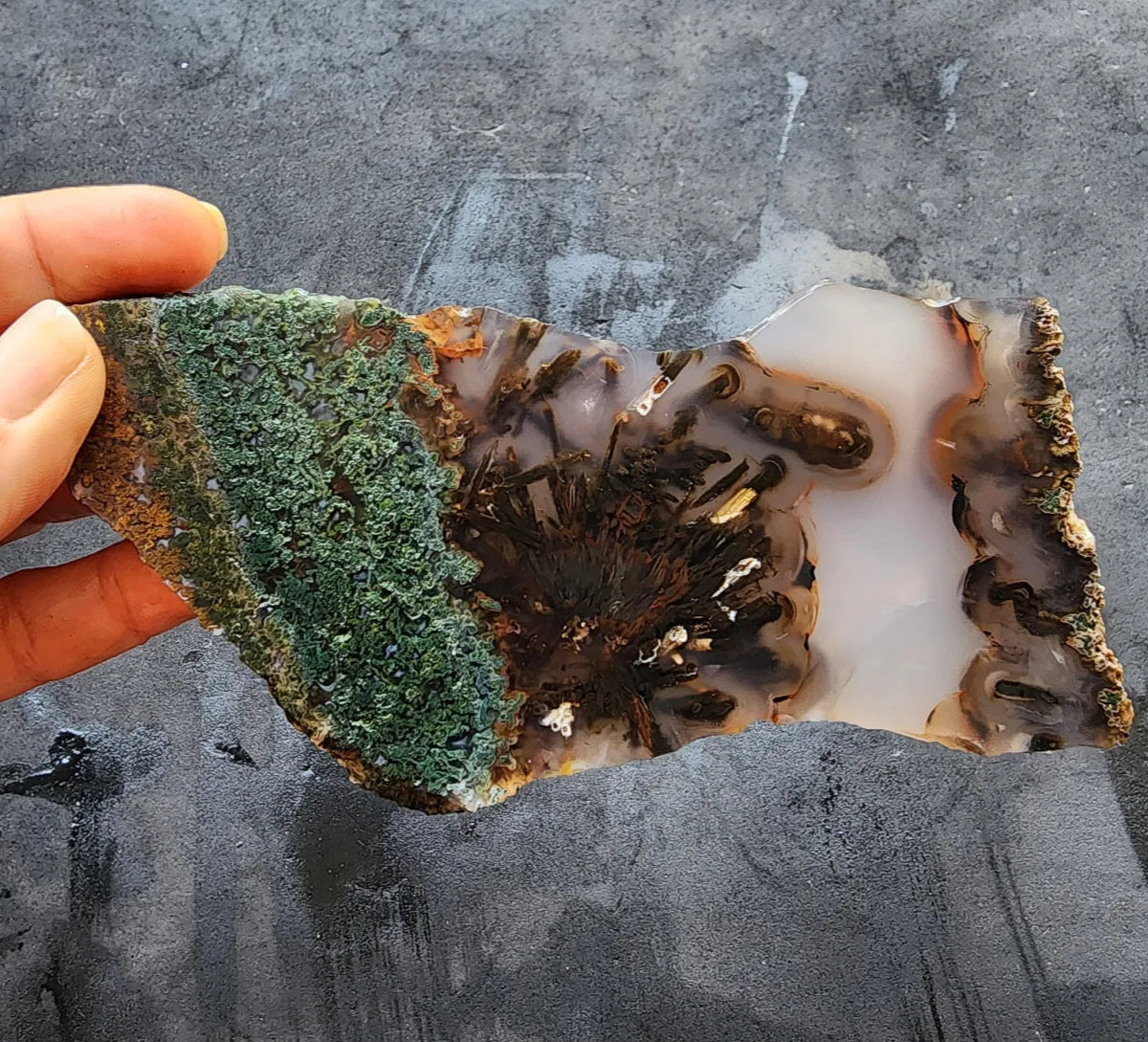Agate Slice Lot