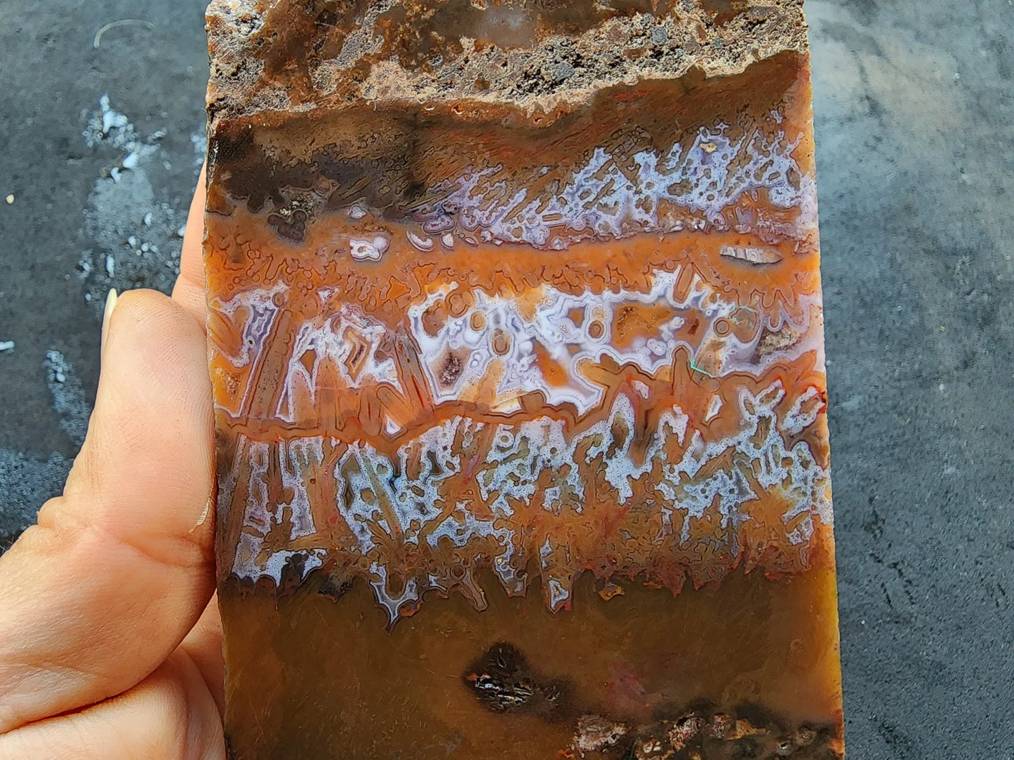 Agate Slice Lot