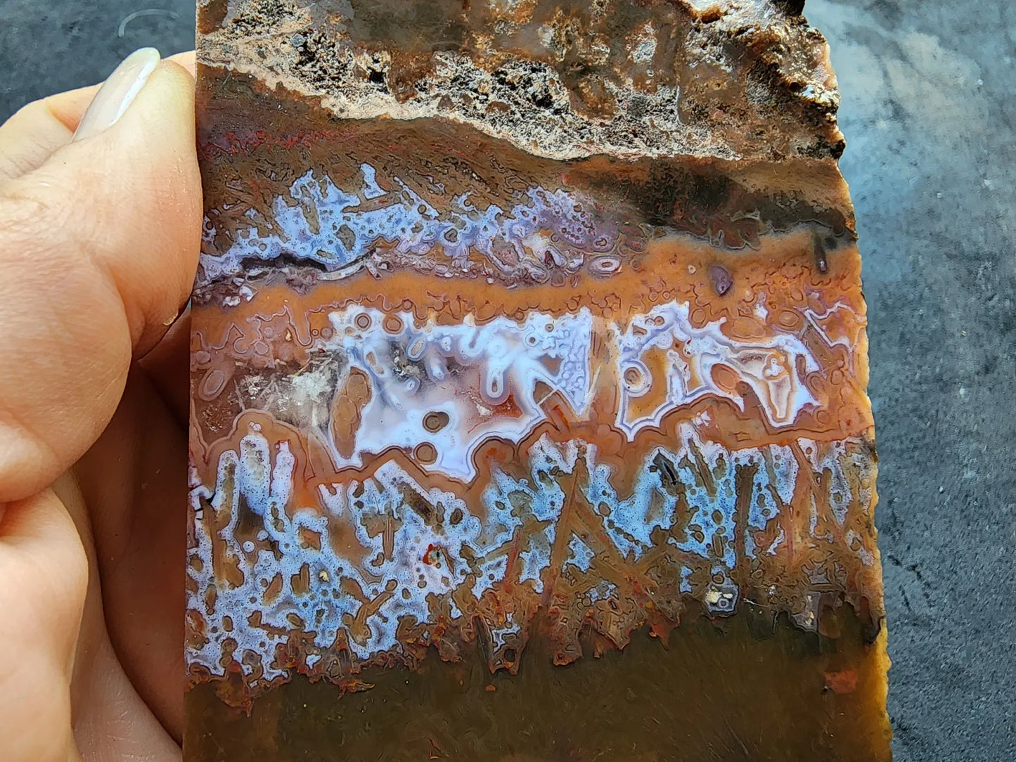 Agate Slice Lot