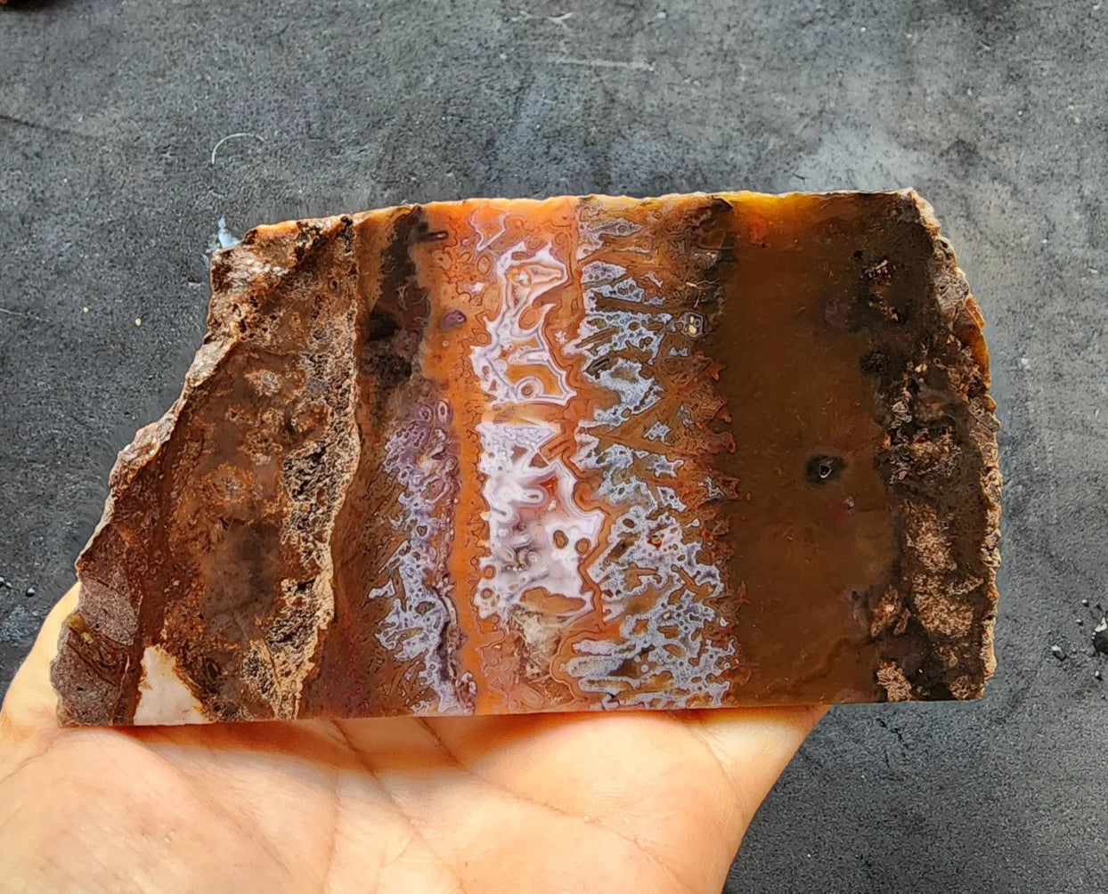 Agate Slice Lot