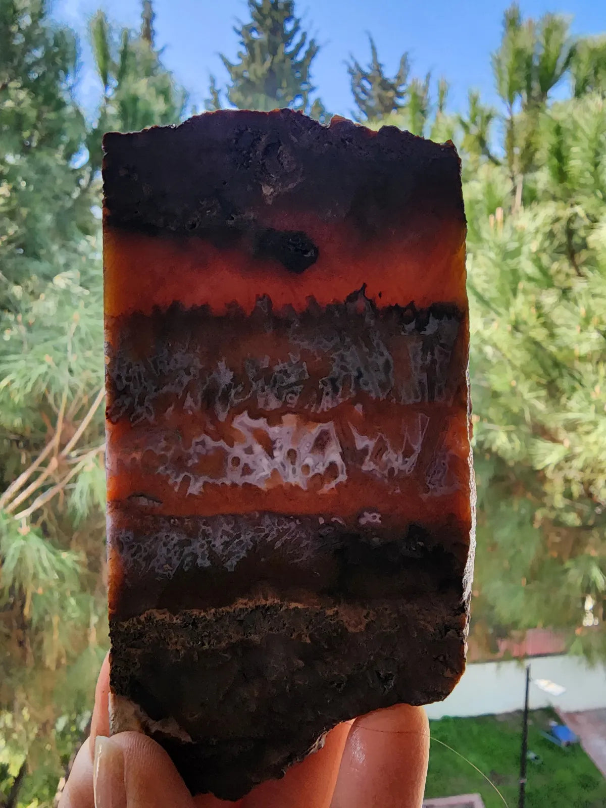 Agate Slice Lot