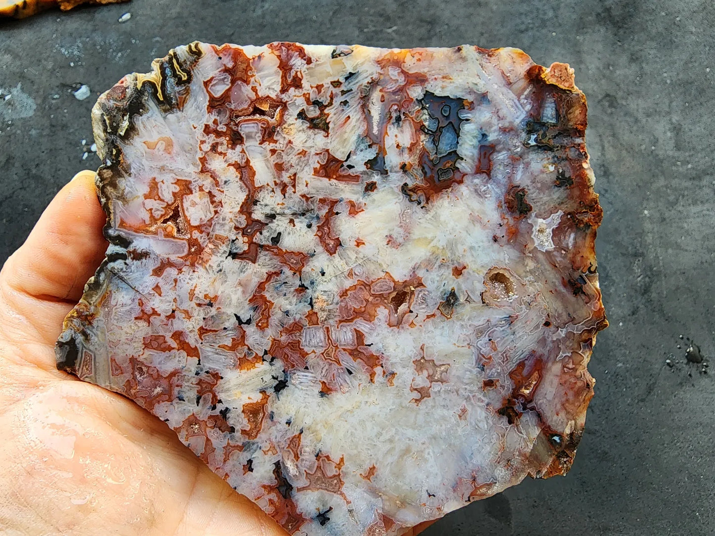 Agate Slice Lot