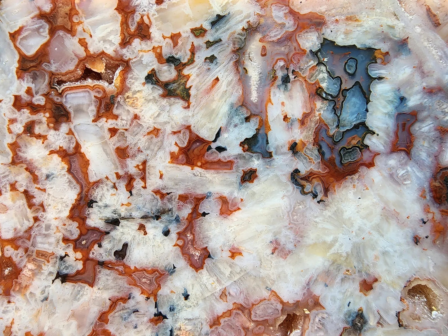 Agate Slice Lot