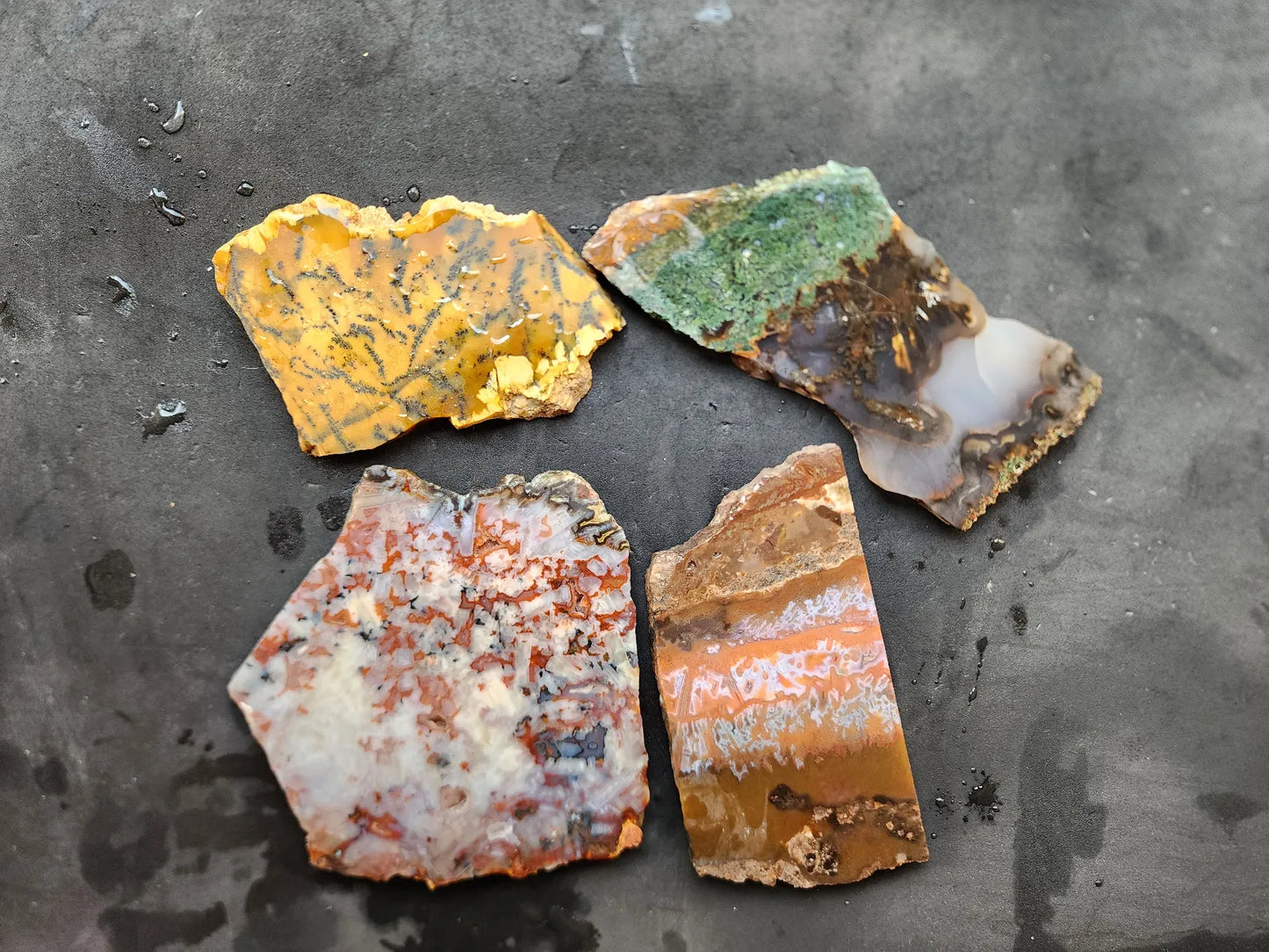 Agate Slice Lot