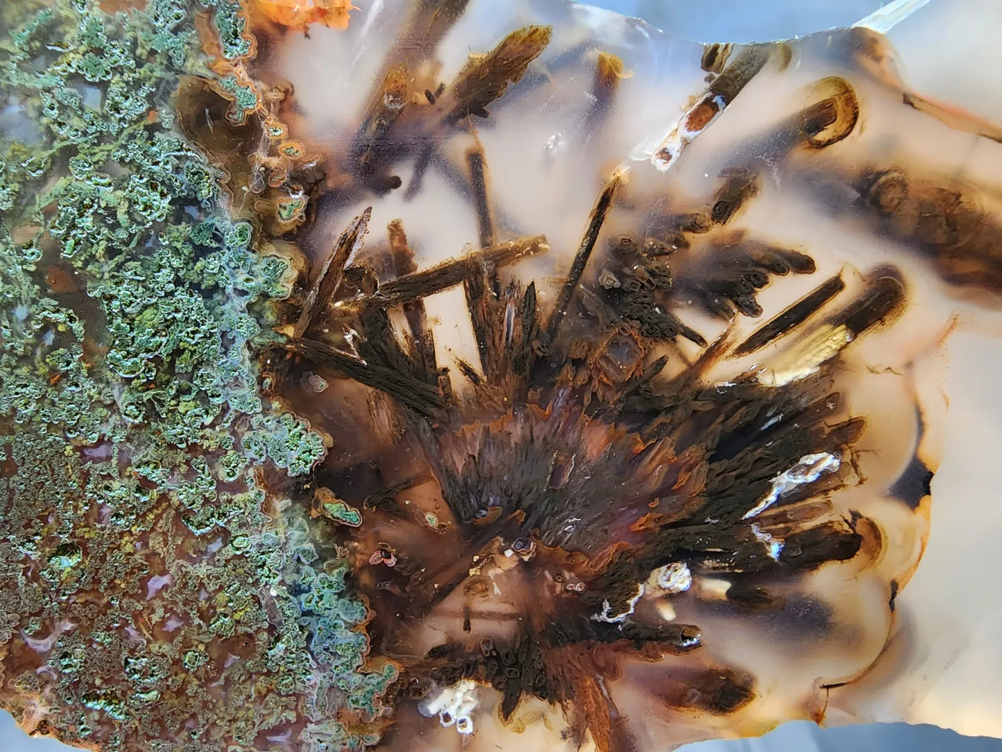 Agate Slice Lot