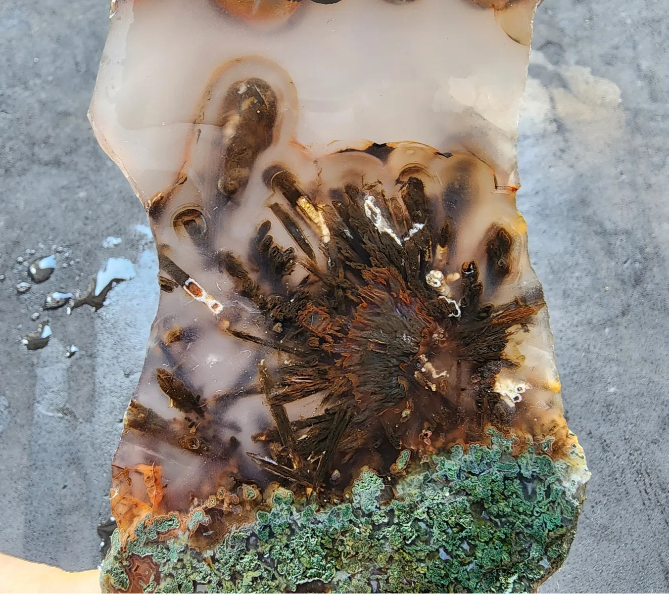 Agate Slice Lot