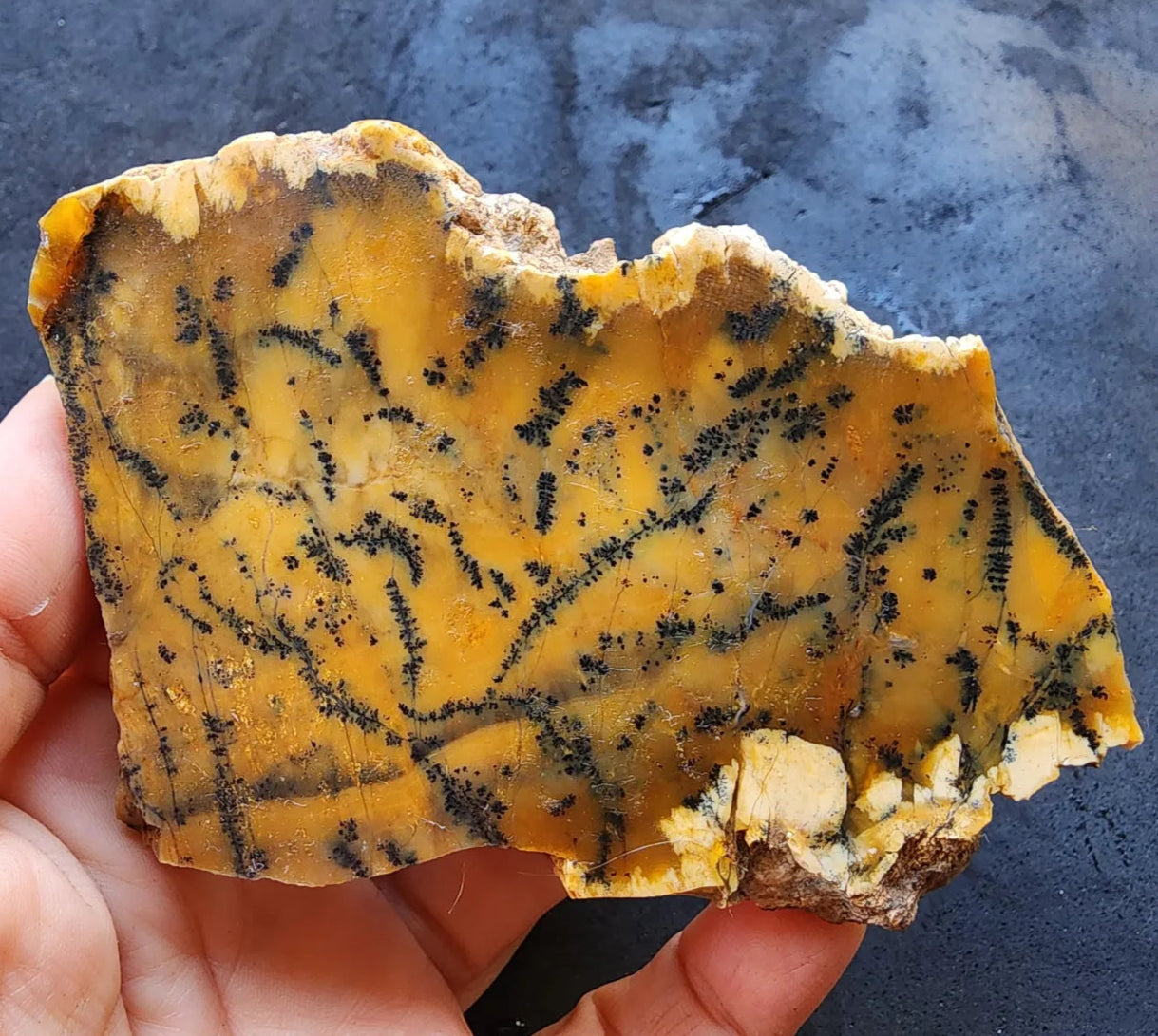 Agate Slice Lot