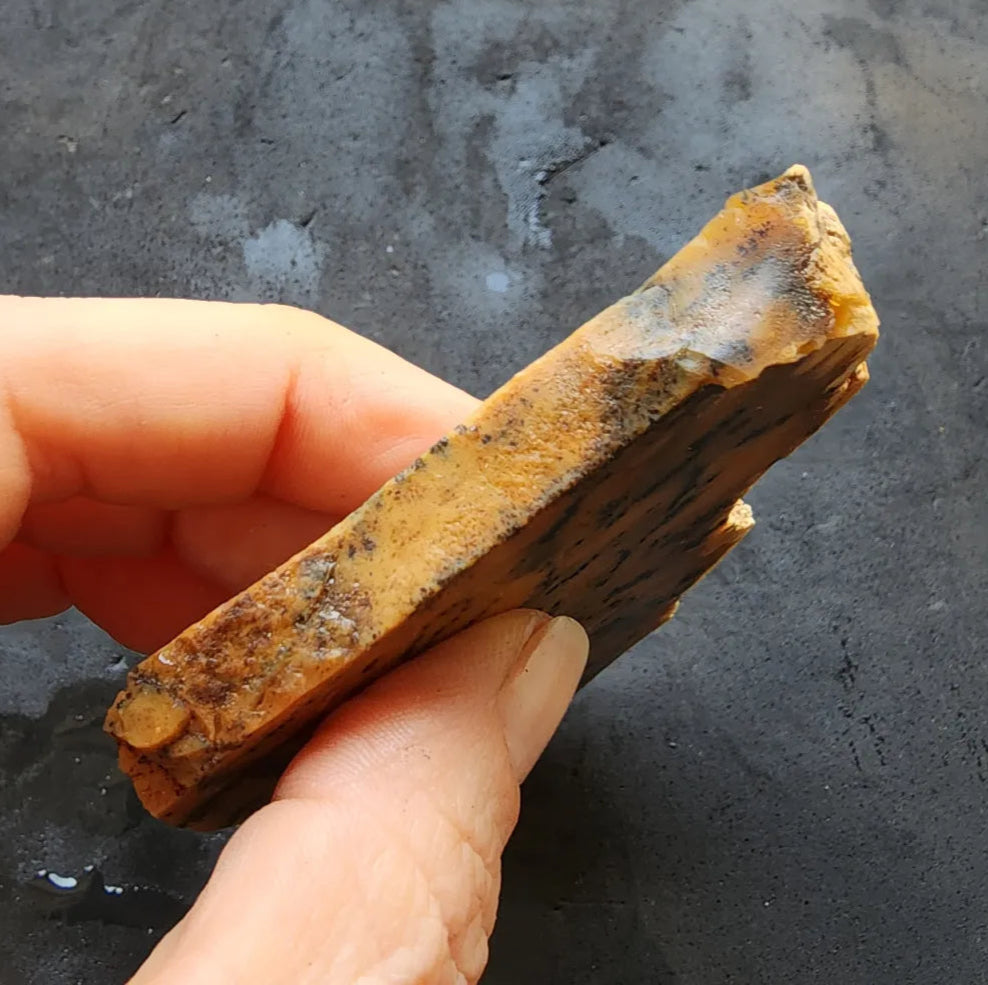 Agate Slice Lot