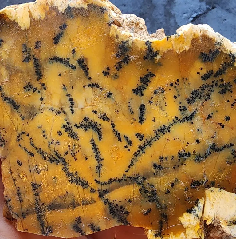 Agate Slice Lot