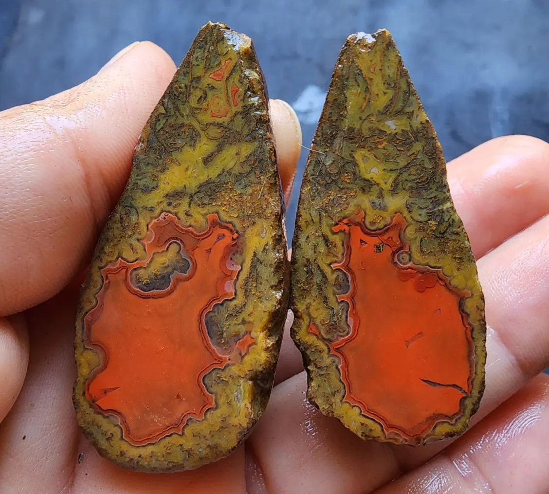 Red Agate - Red Cat