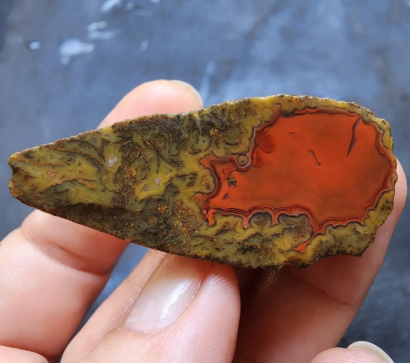 Red Agate - Red Cat