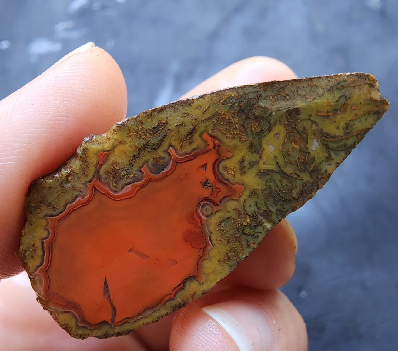 Red Agate - Red Cat