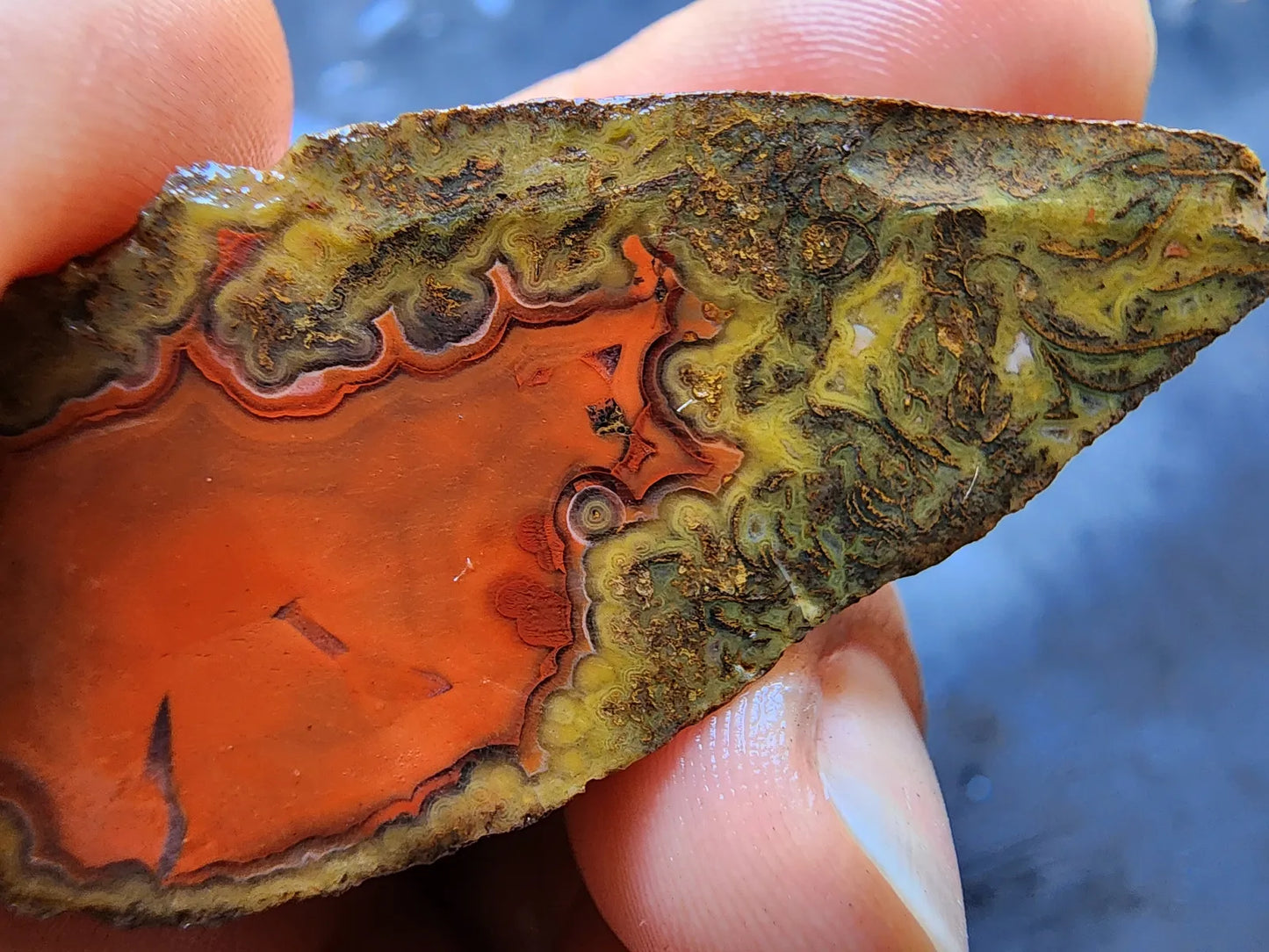 Red Agate - Red Cat