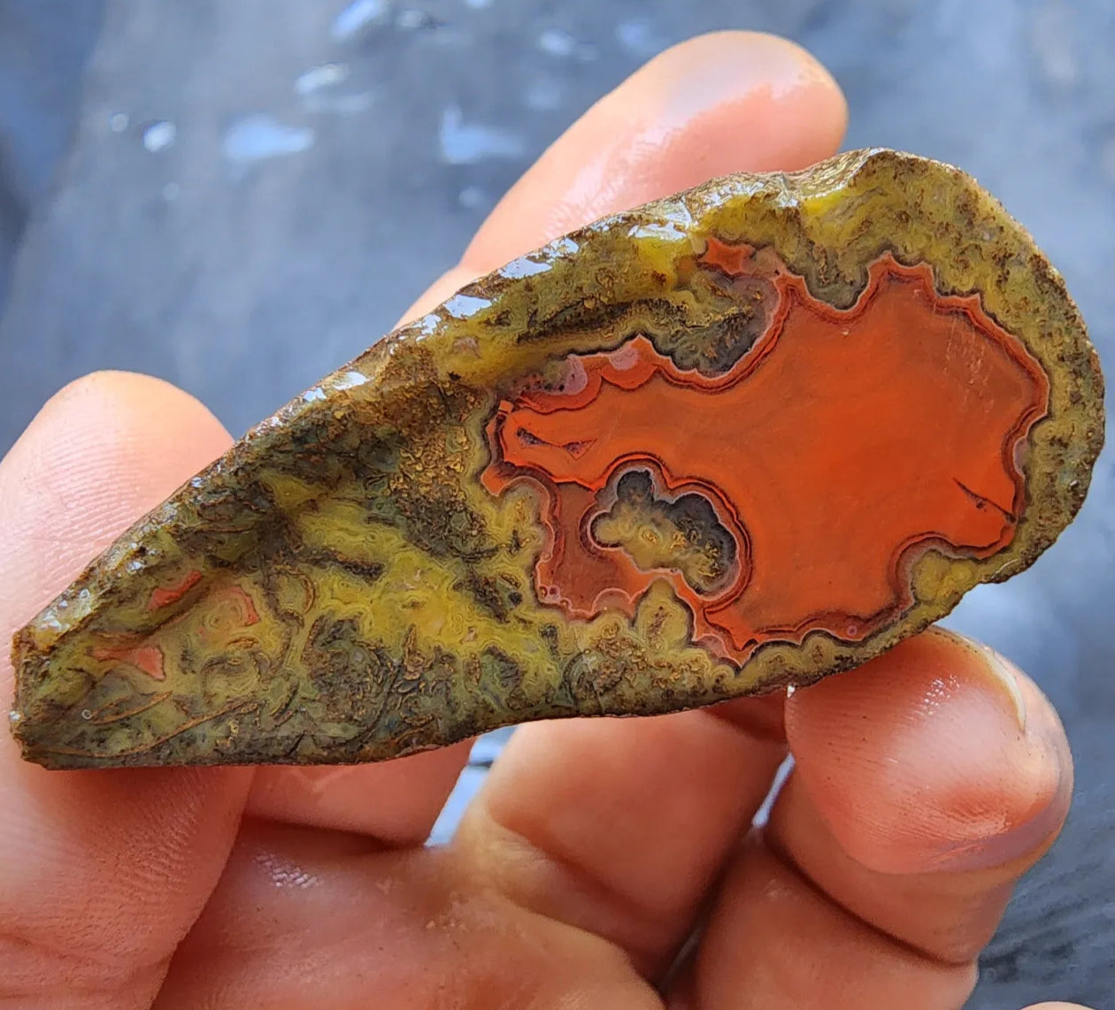 Red Agate - Red Cat