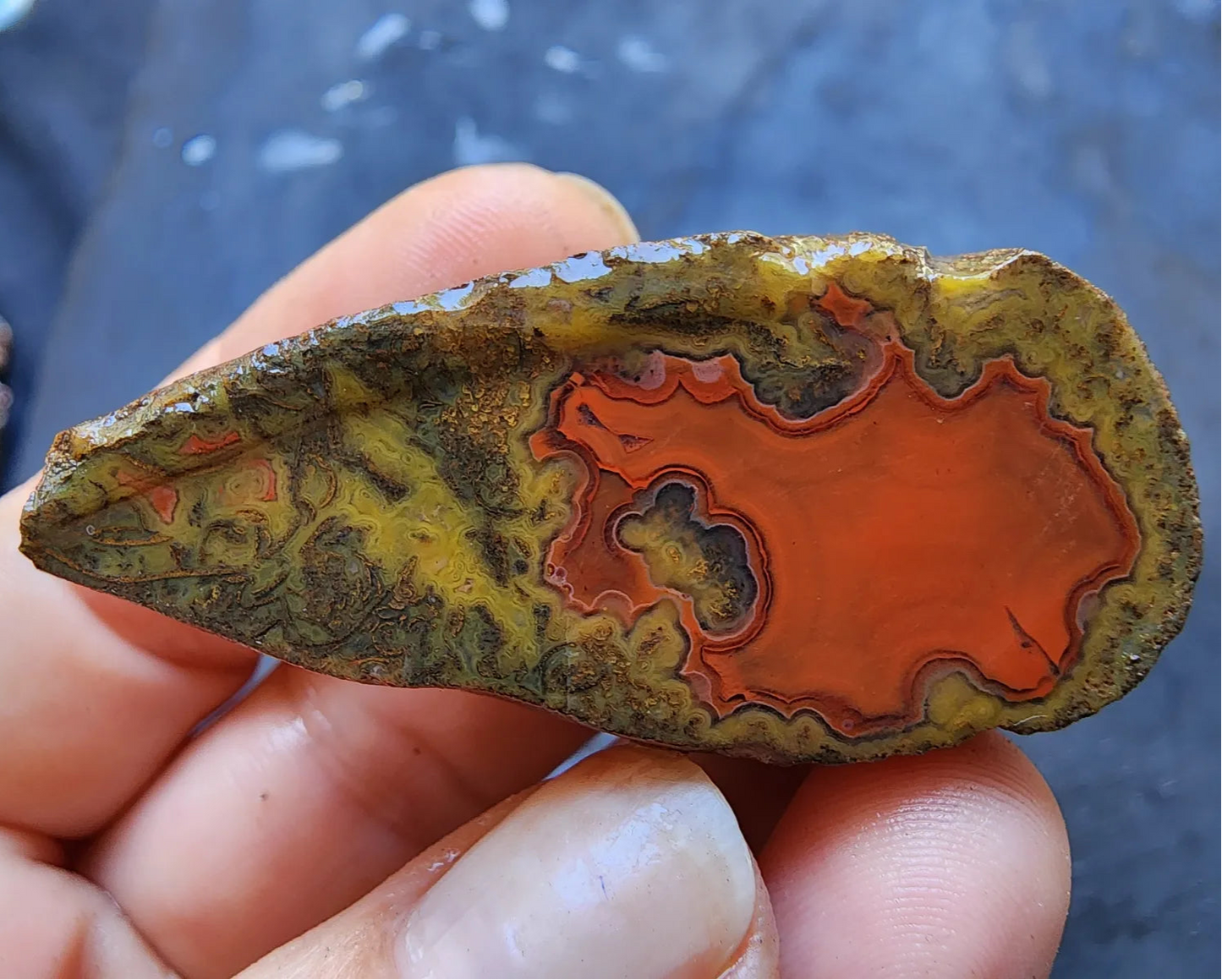 Red Agate - Red Cat