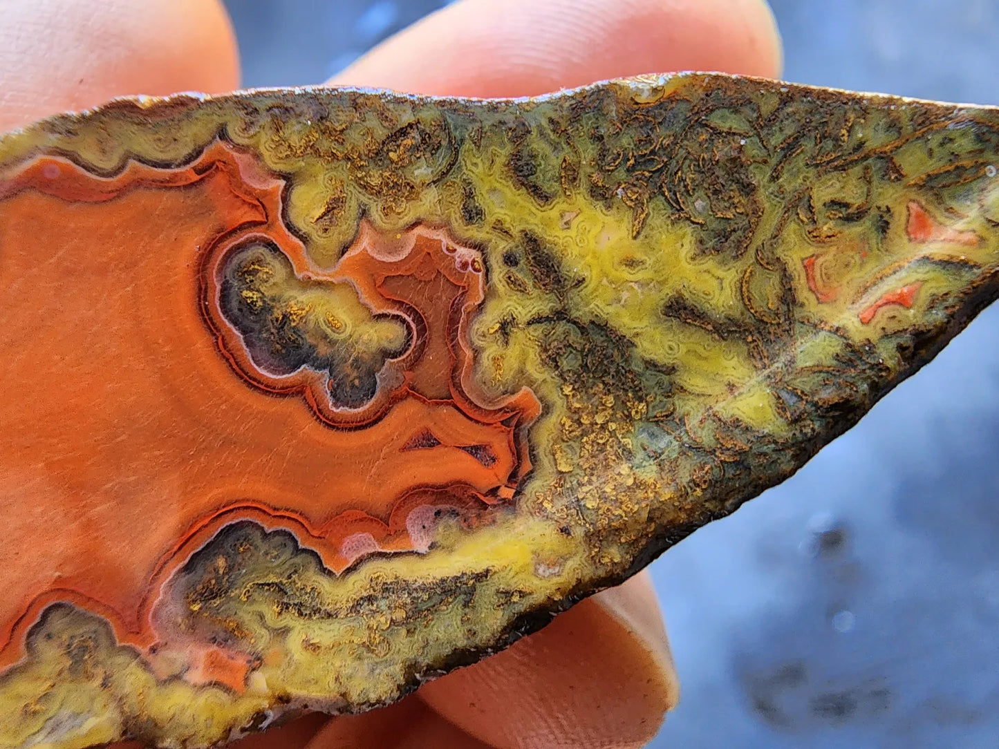 Red Agate - Red Cat