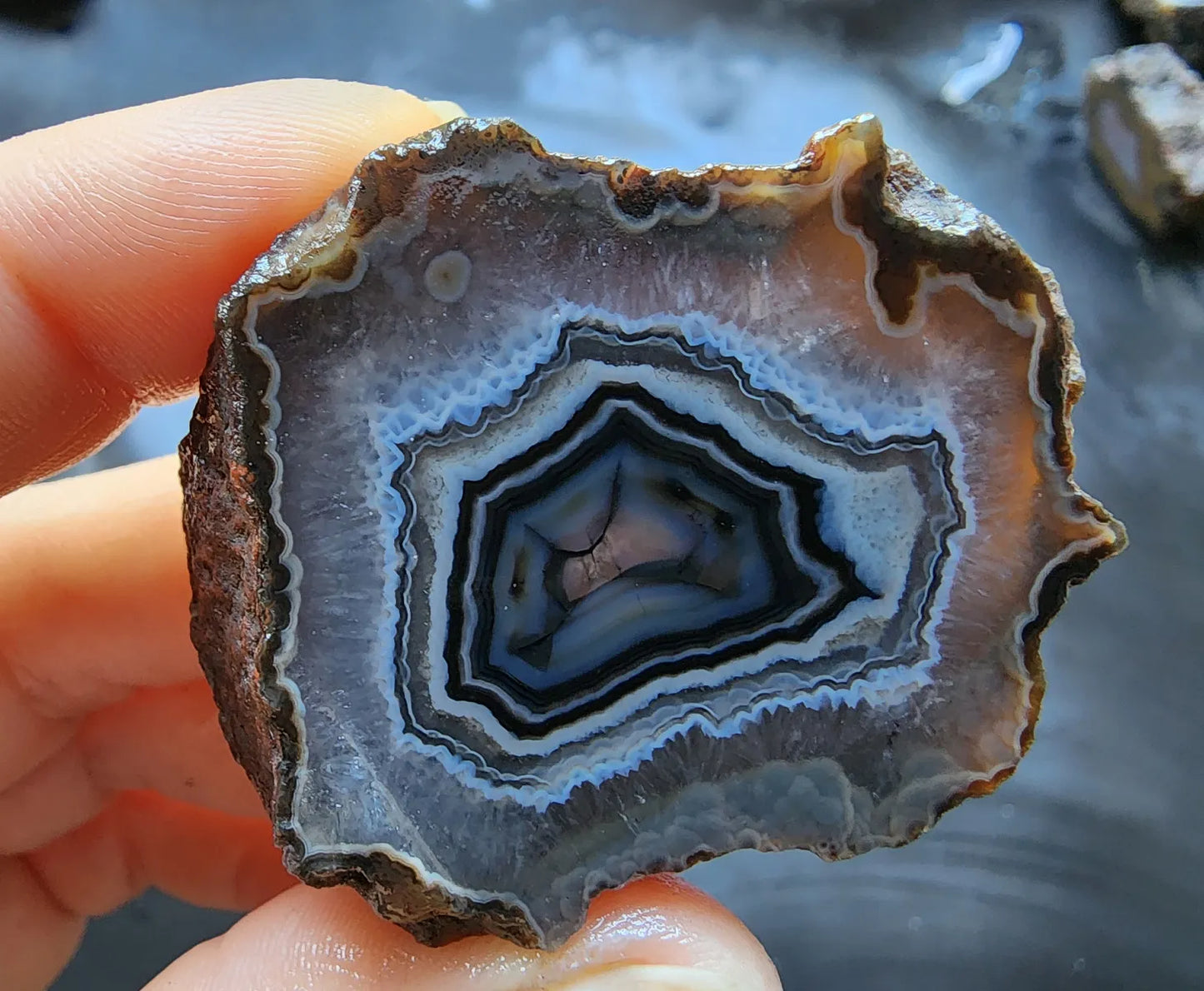 Floater Agate Pair