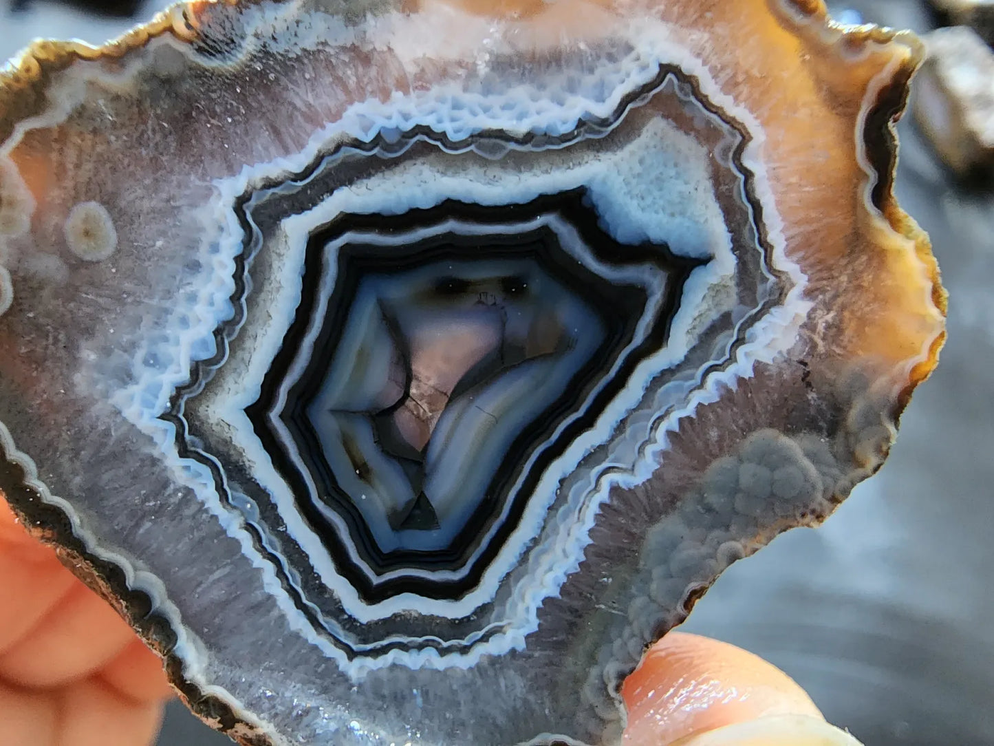 Floater Agate Pair