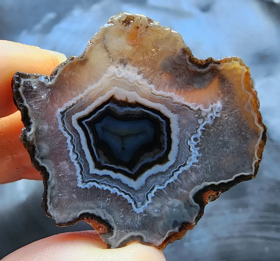 Floater Agate Pair