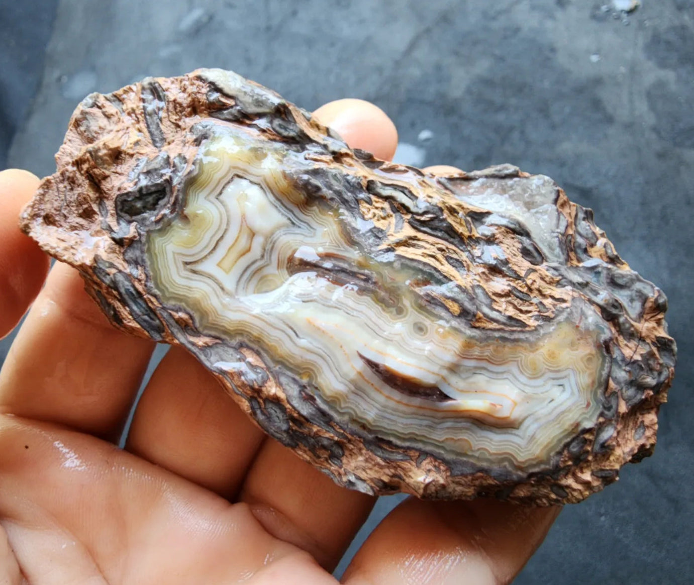Van Gogh Agate