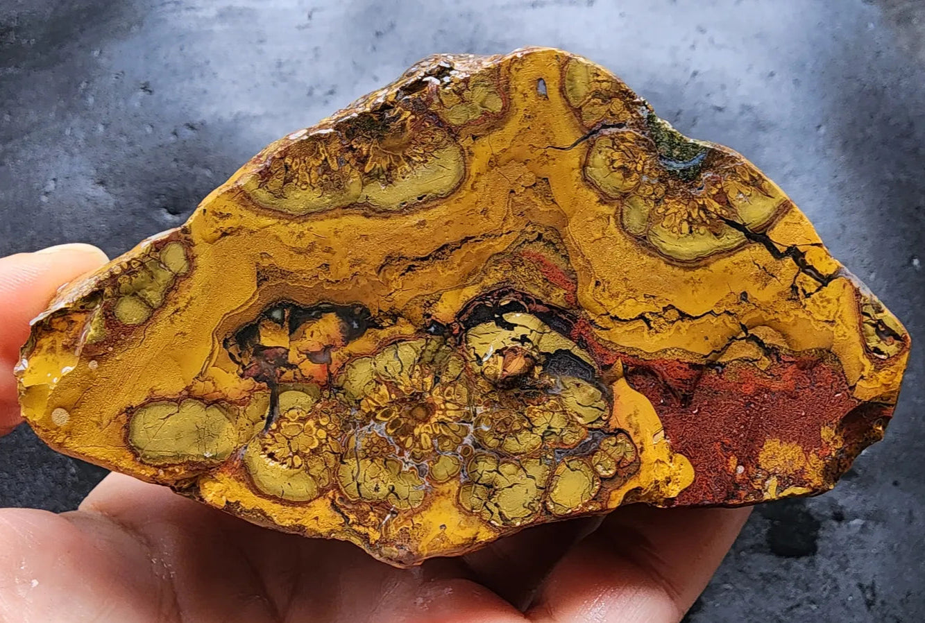Beautiful Jasper Pair
