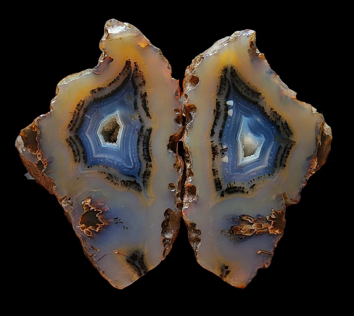 Blue Agate Geode