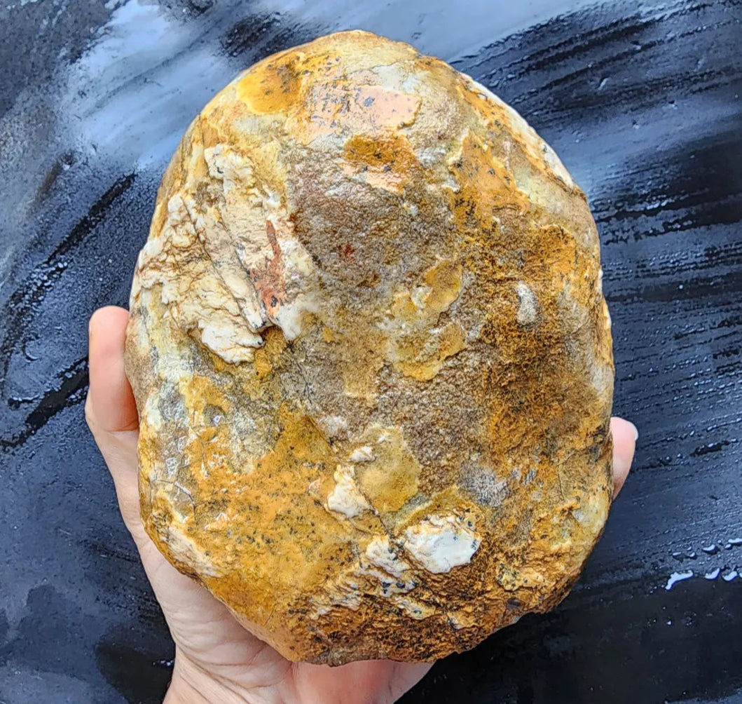 Large Blue Chalcedony Rough