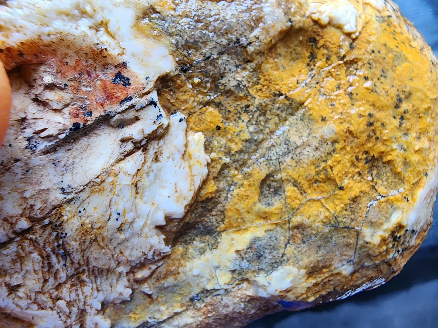 Large Blue Chalcedony Rough