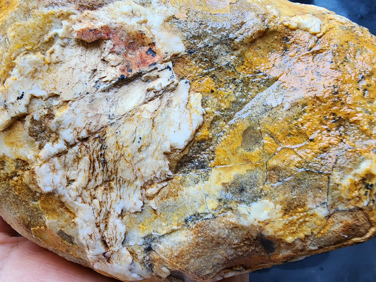 Large Blue Chalcedony Rough