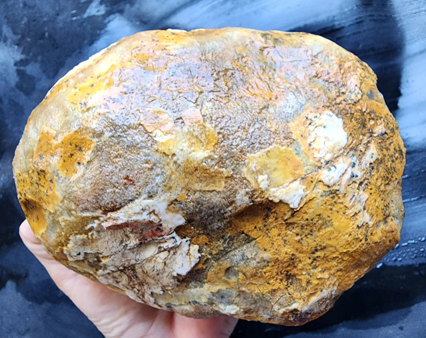 Large Blue Chalcedony Rough
