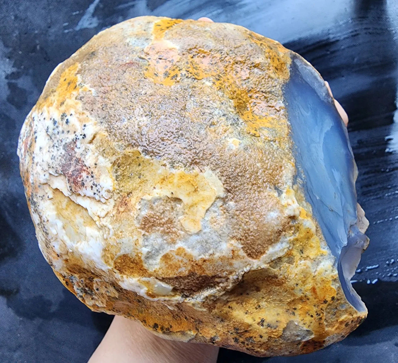 Large Blue Chalcedony Rough