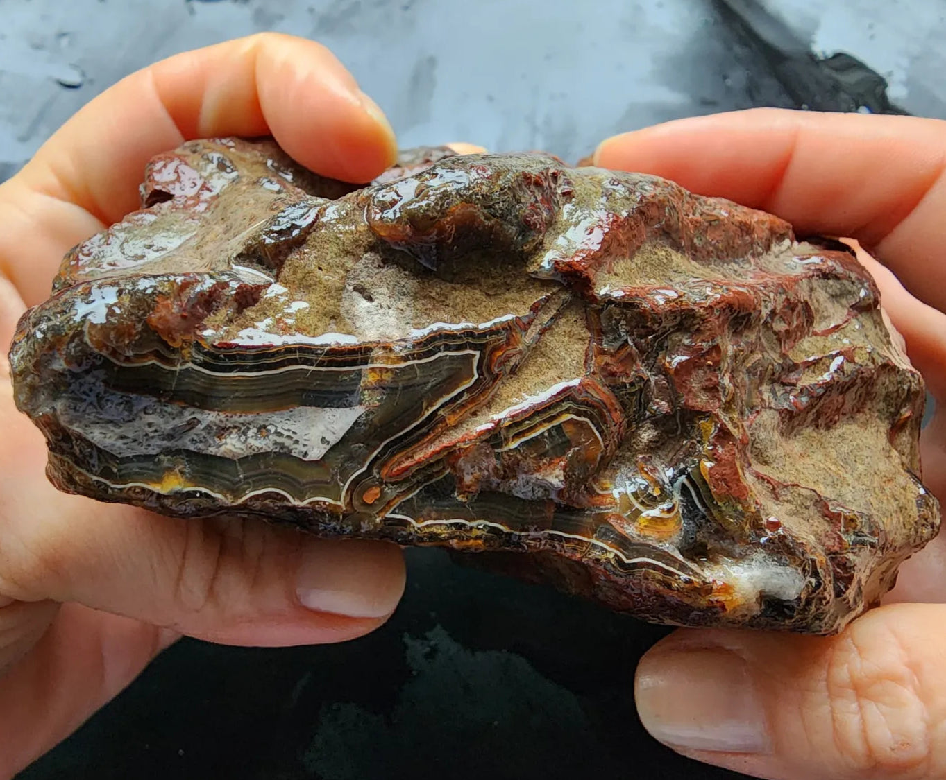 Brecciated Blue Agate Pair