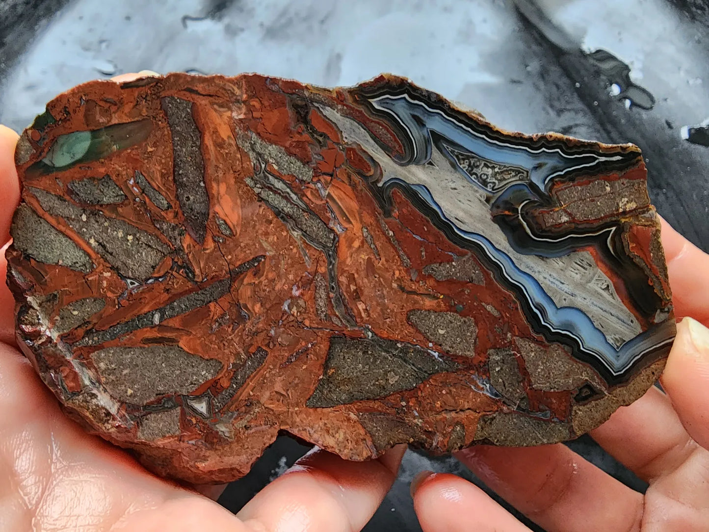 Brecciated Blue Agate Pair