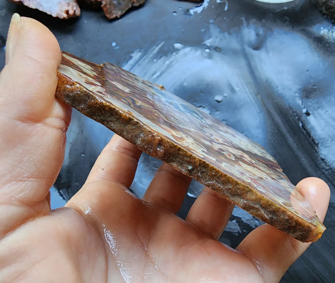 Abstract Agate Slice