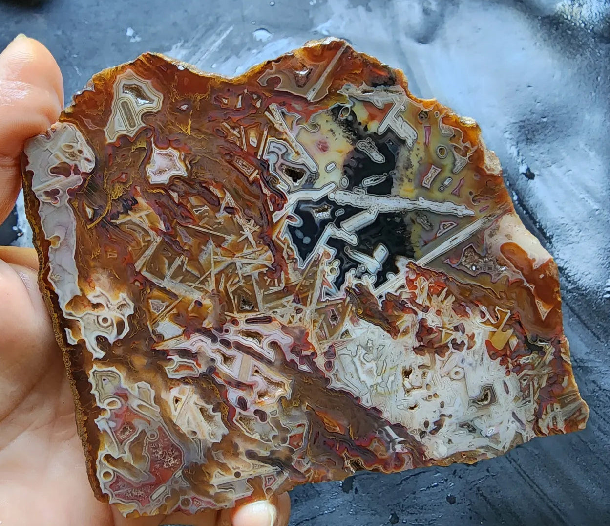 Abstract Agate Slice