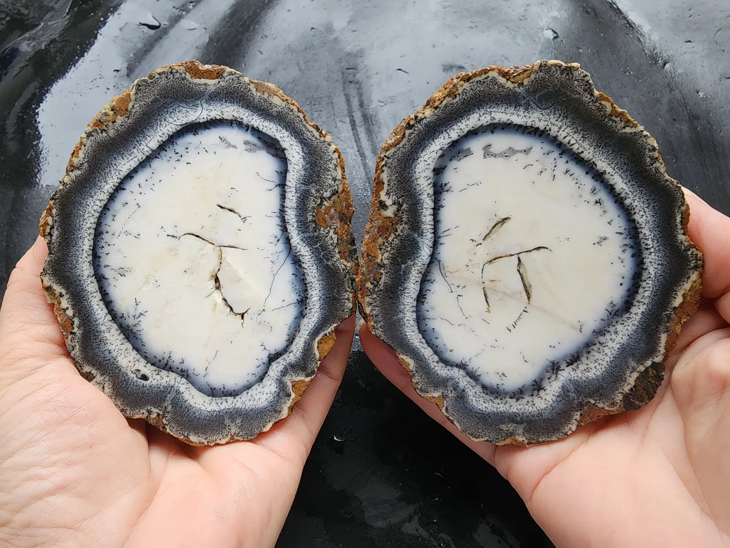 Dendritic Opal