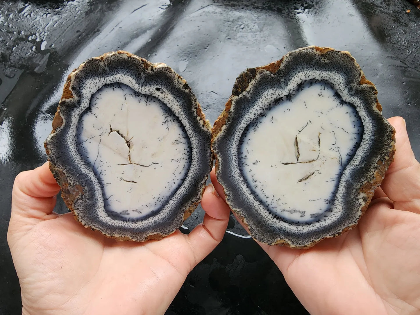 Dendritic Opal