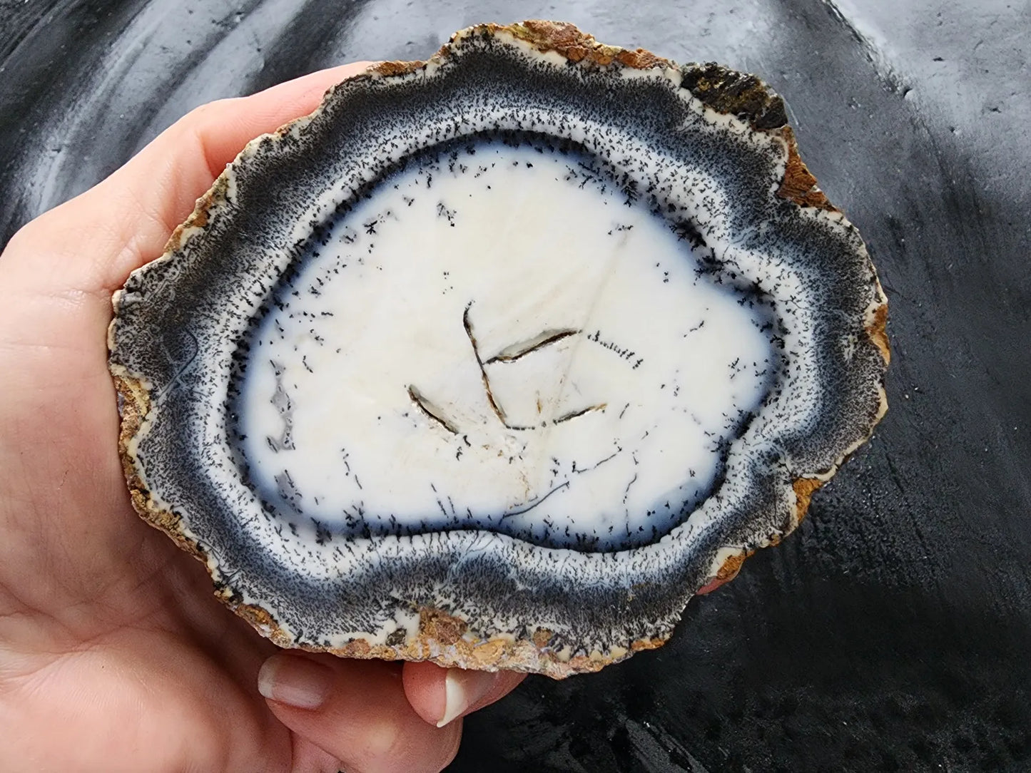 Dendritic Opal