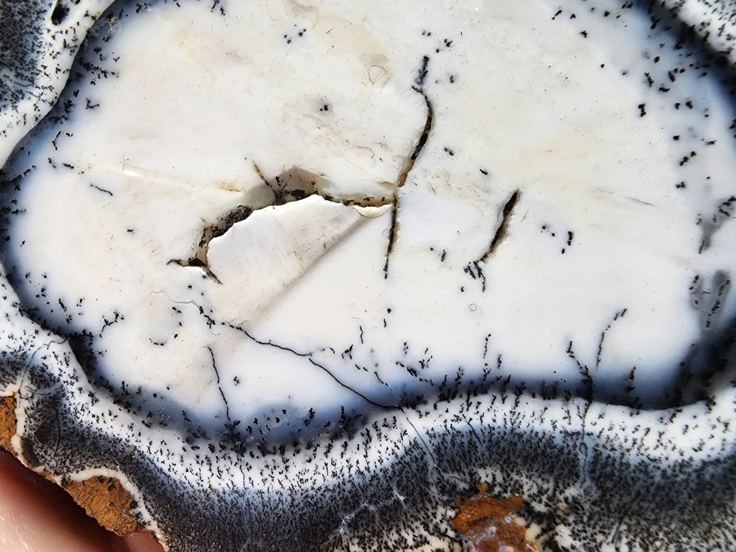 Dendritic Opal