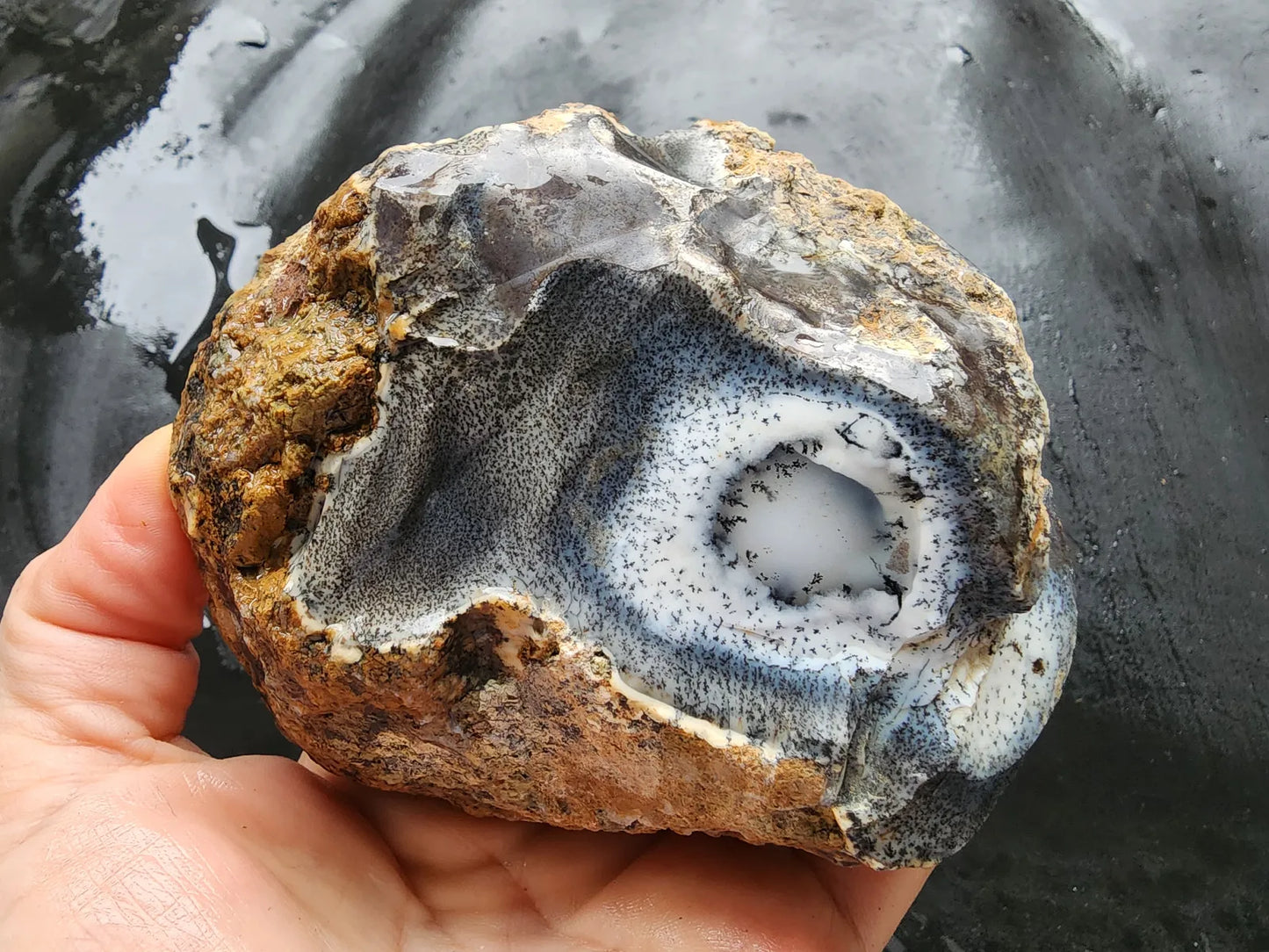 Dendritic Opal