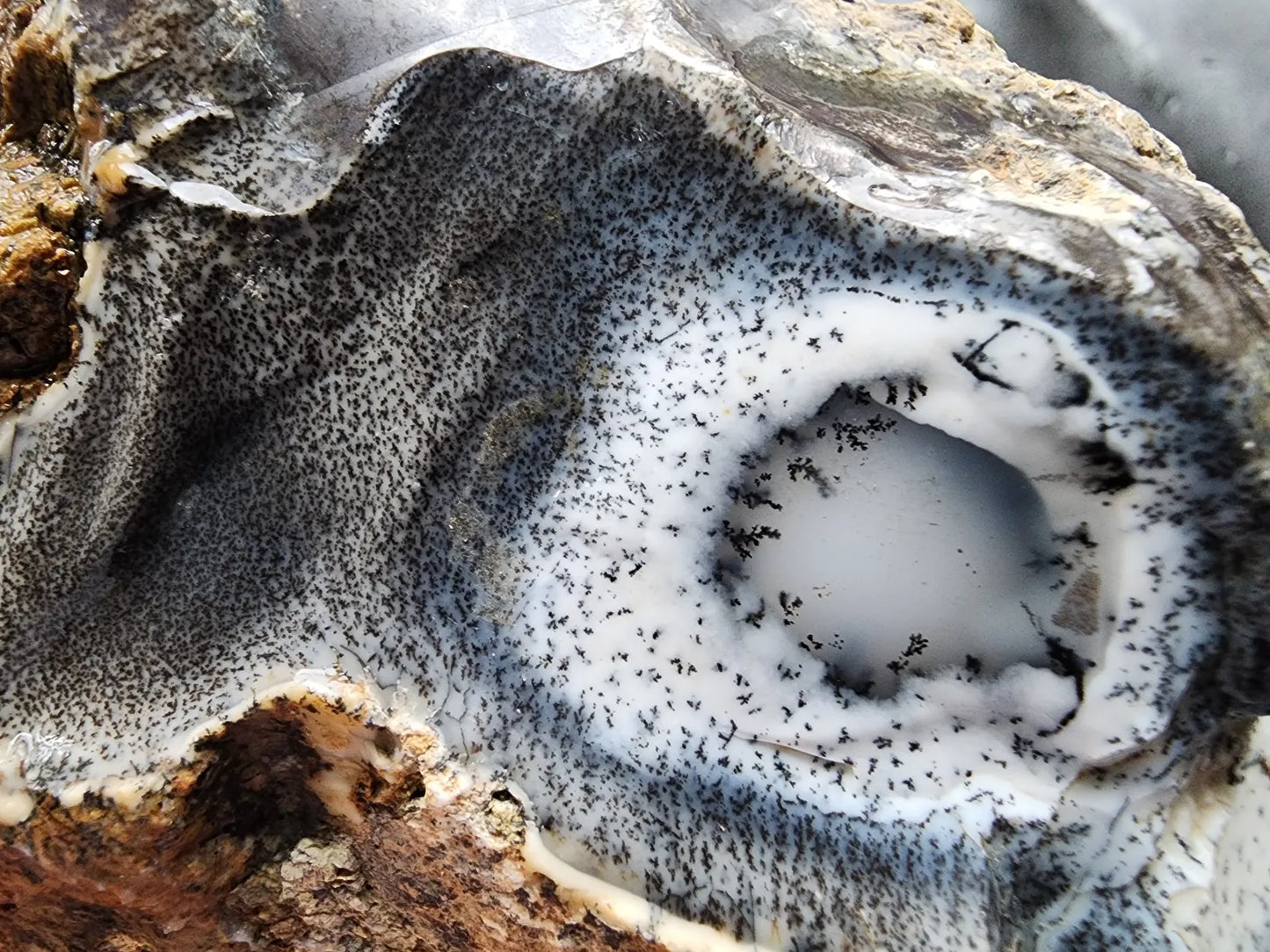 Dendritic Opal